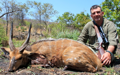 Mr. Scott Brown Of Australia Shot This Chobe Bushbuck At 70 Yards With His Blaser 416 Rem Mag And Woodleigh 400gr Hydrostatically Stabilised Solid