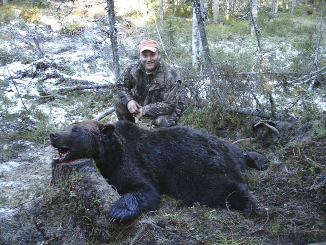 Mr Andrew Sjolund And Swedish Brown Bear Taken With 358 Norma Magnum And Woodleigh 275 Grain Weldcore Protected Point Soft Nose Bullet