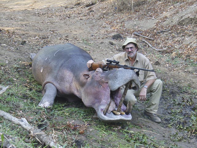 Mr Dave Manley Australia And Hippo Taken With Whitworth Express 458 Win Mag And Woodleigh 458 480gr Full Metal Jacket Bullet
