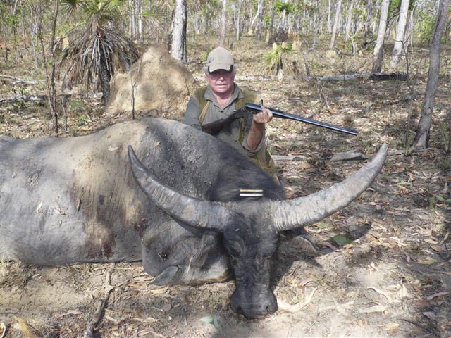 Mr Milton Gillard Australia And Asian Buffalo Taken In NT With Alex Henry 470 Nitro Express One Shot Using Federal Factory Ammunition Loaded Withh 500gr Woodleigh Weldcore Round Nose Soft Nose Bullet