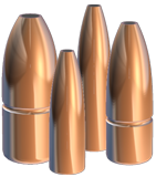 Protected Point Bullets