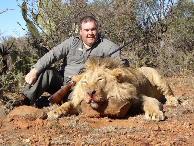 Lion