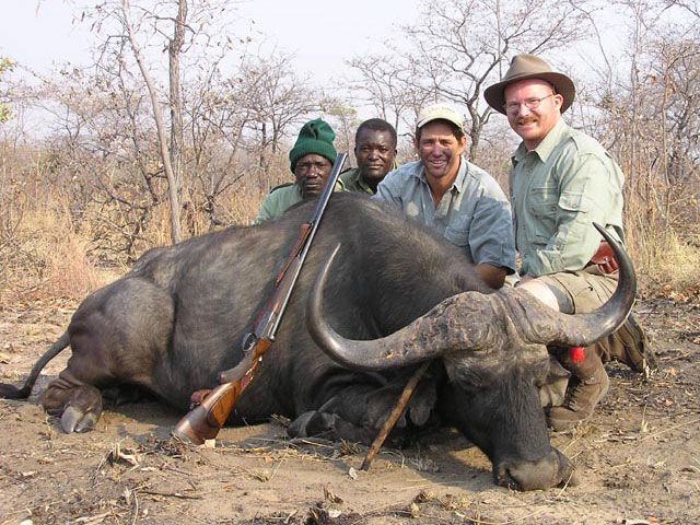 Buffalo
