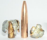 Woodleigh #80A 6.5mm .264" 160gr PP SN recoveries